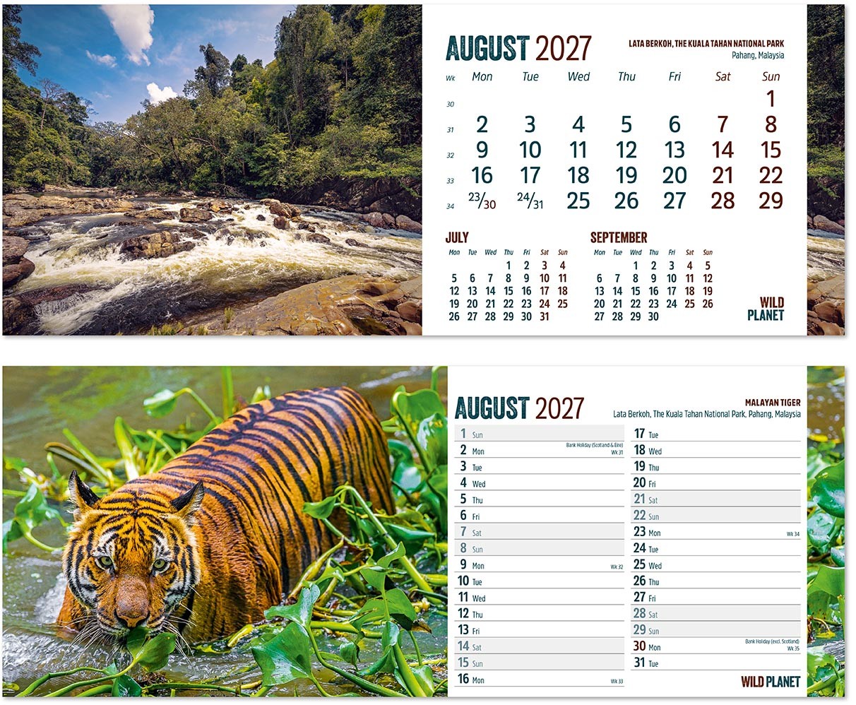 Wild Planet Premium Lined Easel Desk Calendar