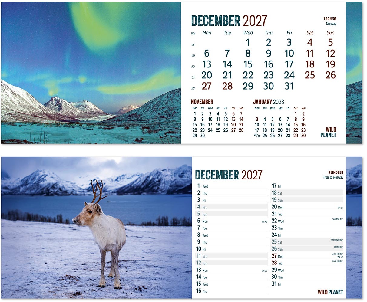 Wild Planet Premium Lined Easel Desk Calendar