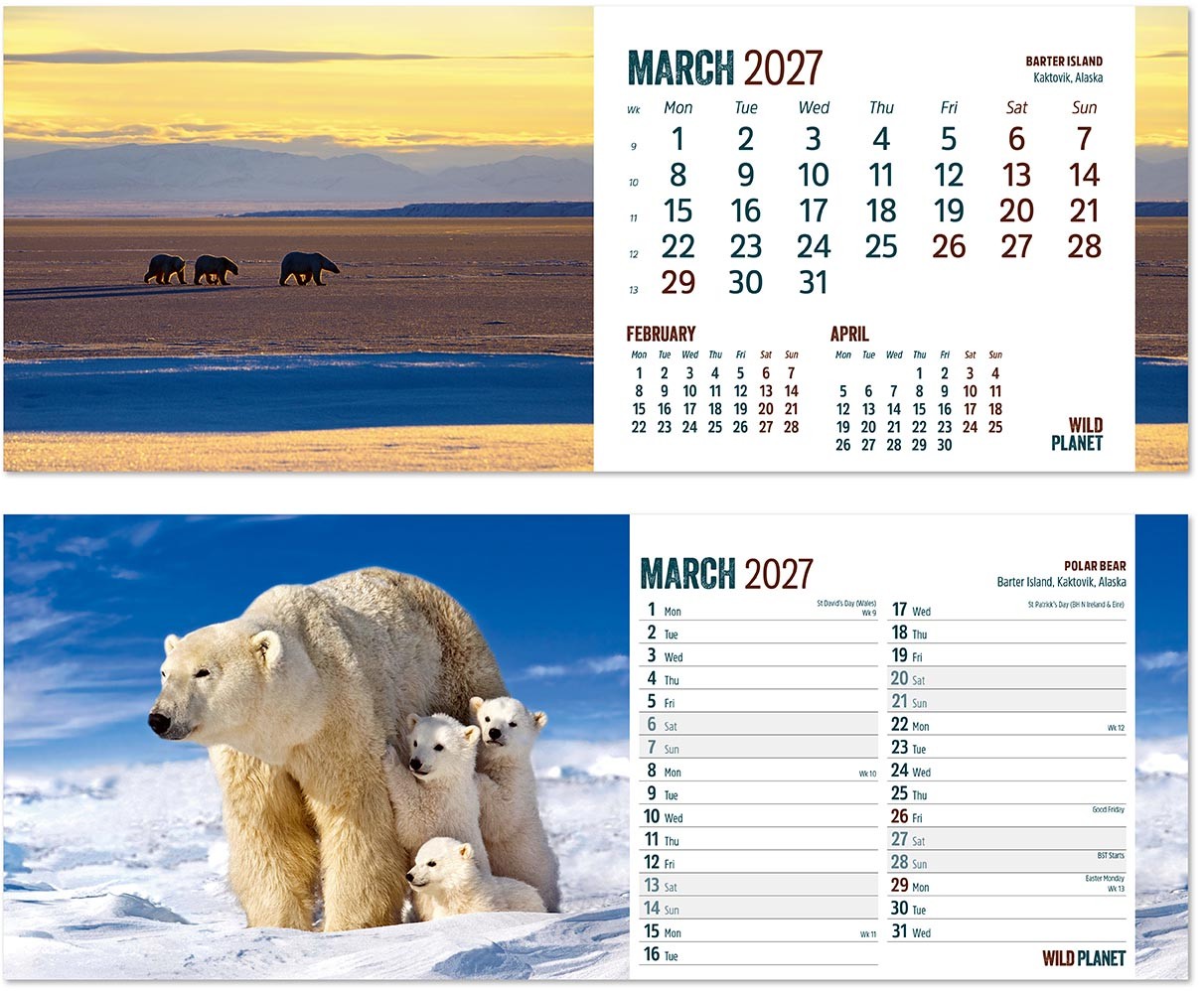 Wild Planet Premium Lined Easel Desk Calendar