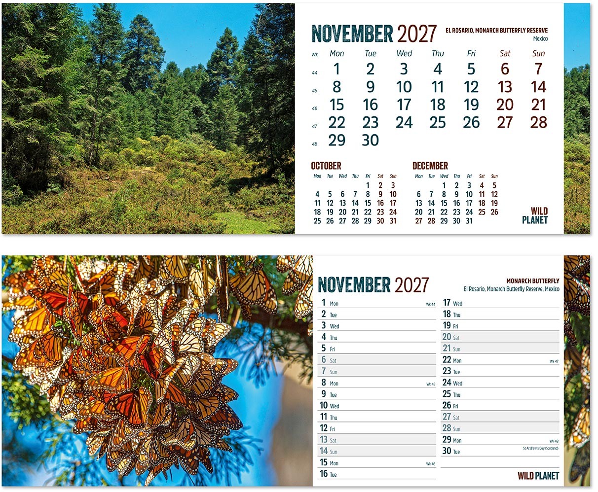 Wild Planet Premium Lined Easel Desk Calendar