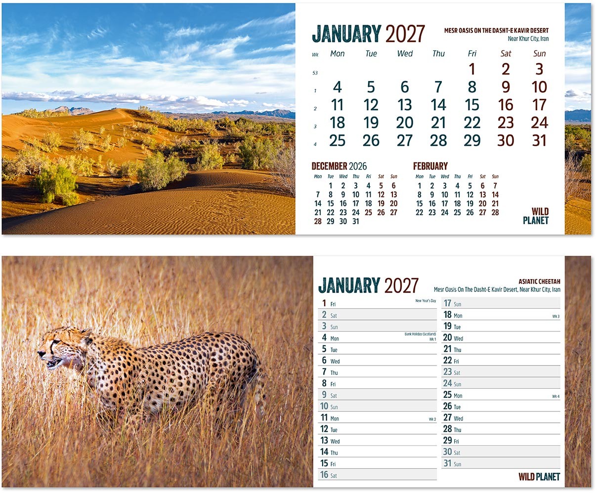 Wild Planet Task Station Desk Calendar