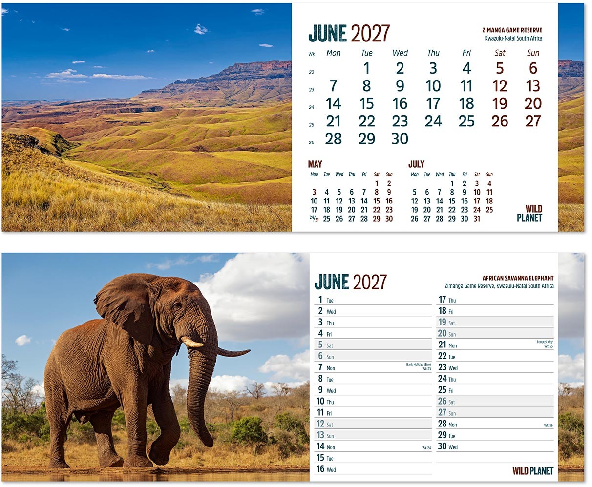 Wild Planet Task Station Desk Calendar