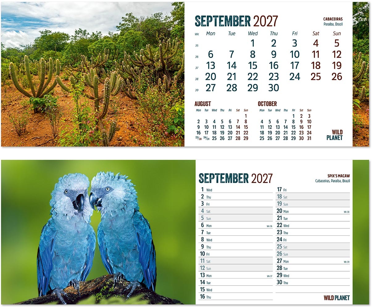 Wild Planet Task Station Desk Calendar