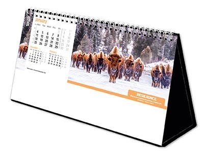 Ethos Premium Lined Easel Desk Calendar