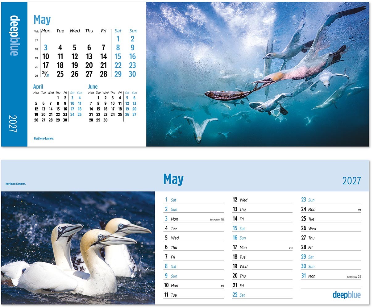 Deep Blue Note Station Desk Calendar