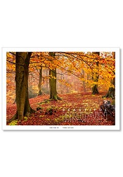 Beautiful Britain Postage Saver Calendar
