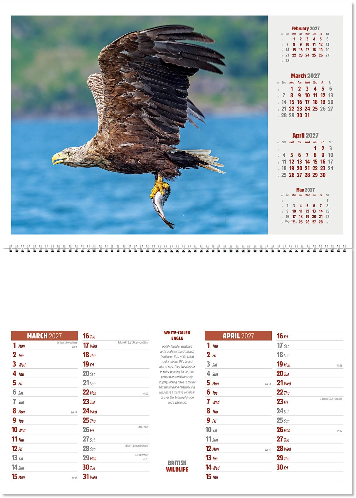 British Wildlife Postage Saver Calendar