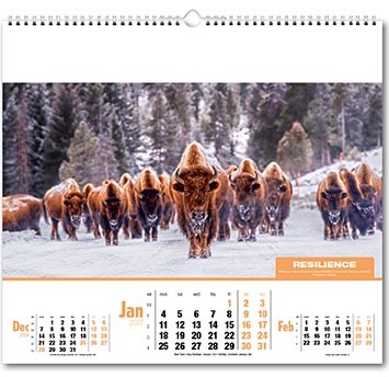 Ethos Wall Calendar