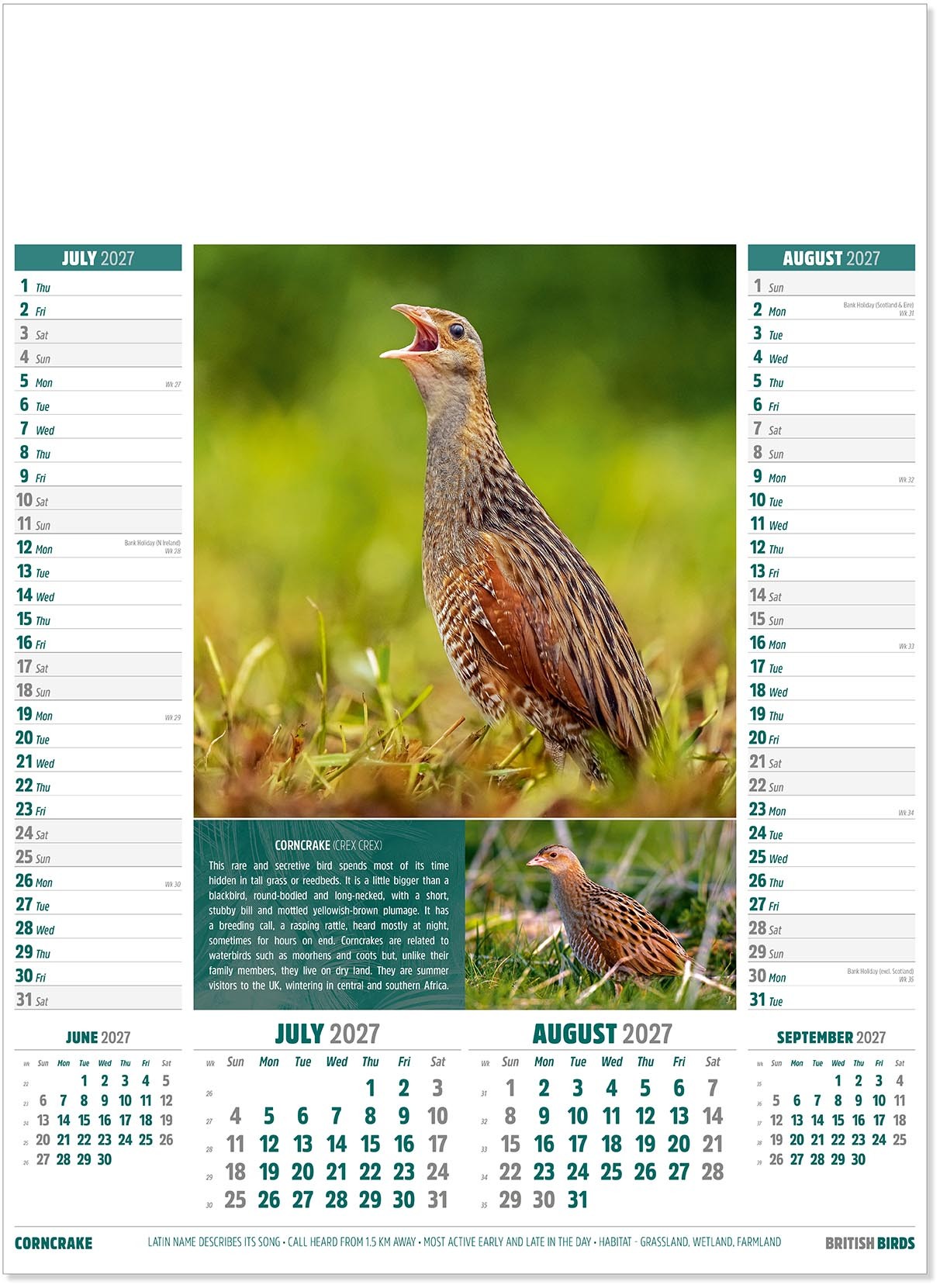British Birds Calendar
