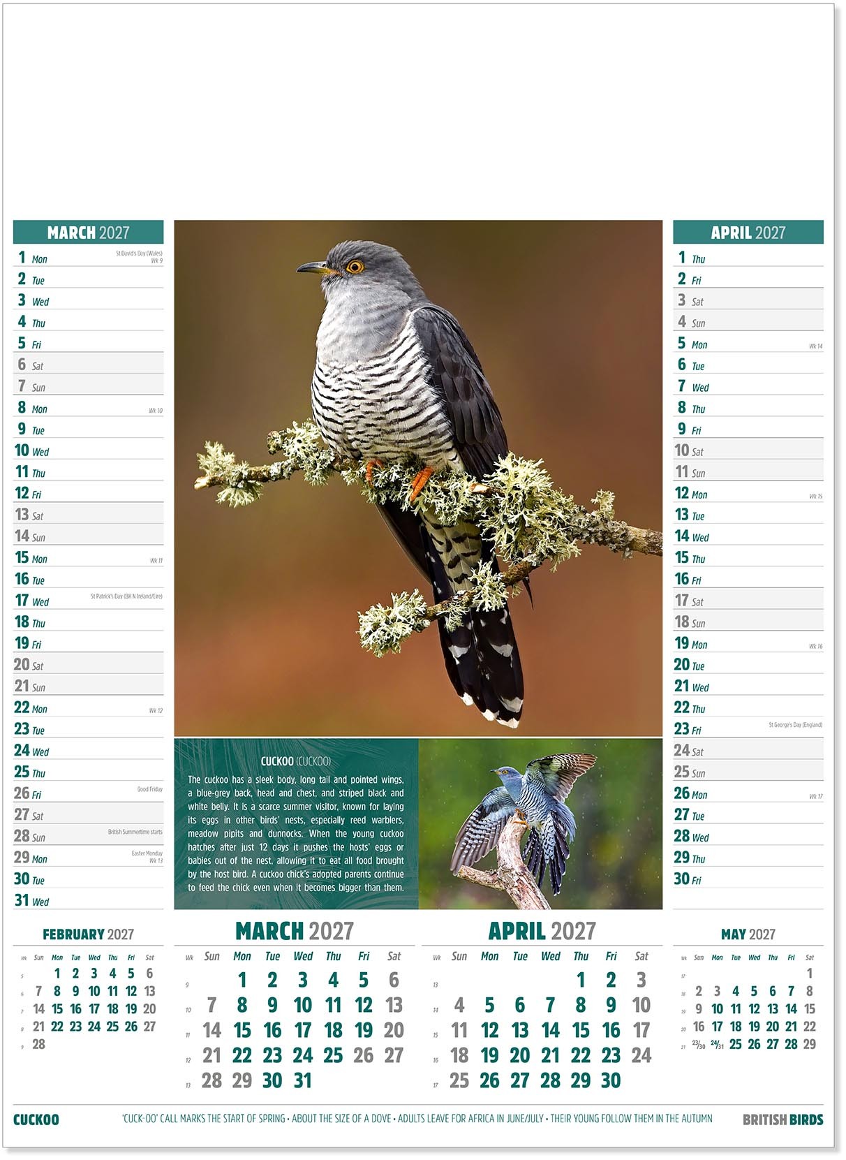 British Birds Calendar