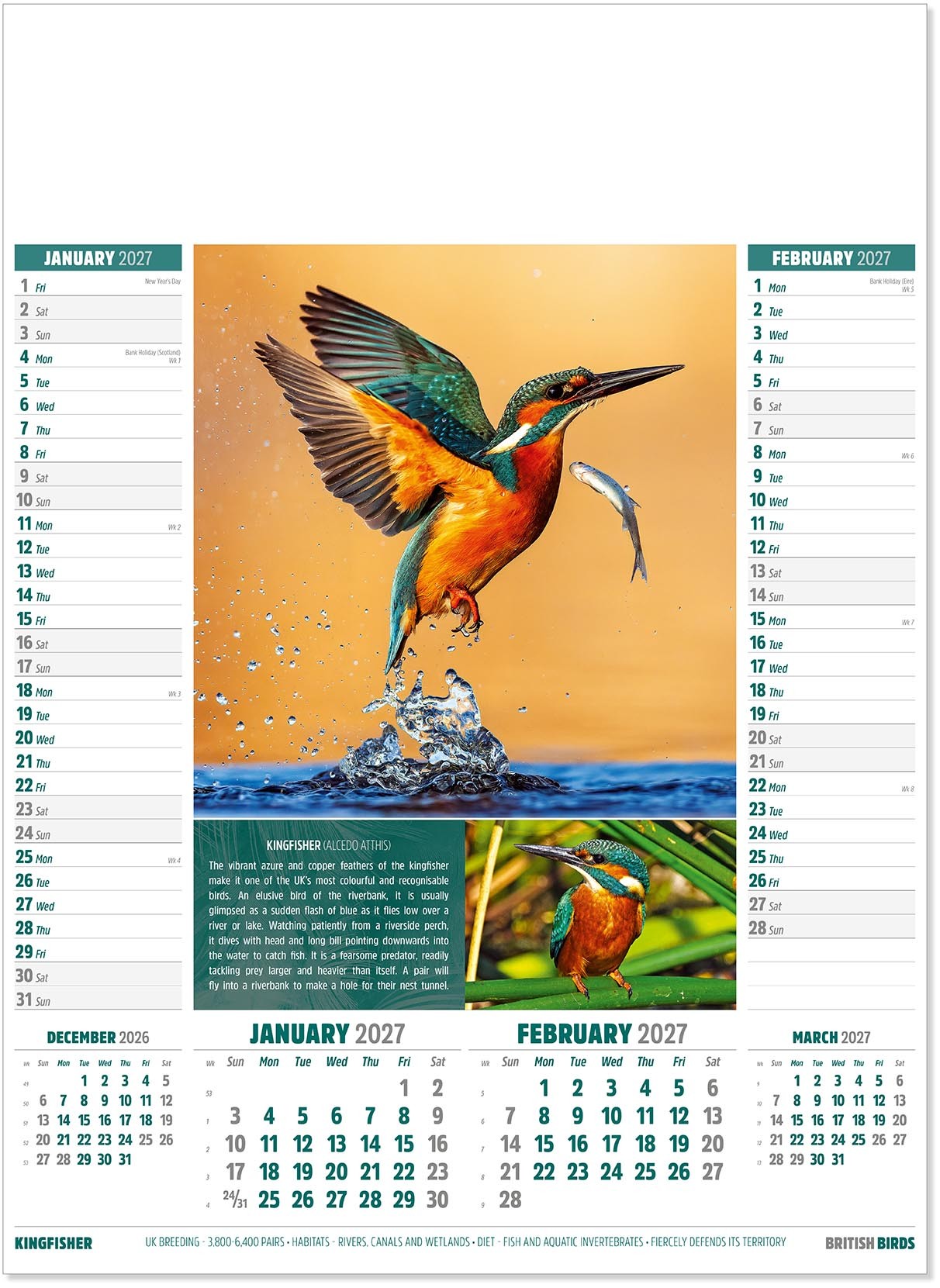 British Birds Calendar