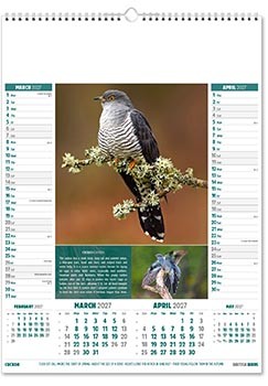 British Birds Calendar