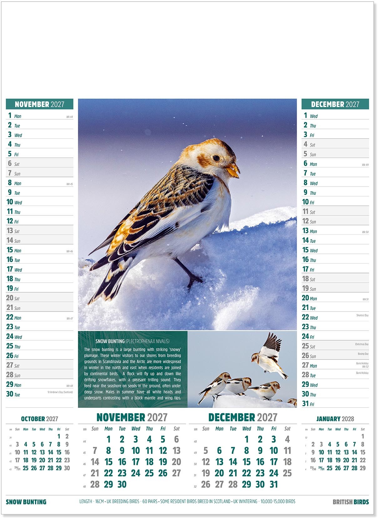 British Birds Calendar
