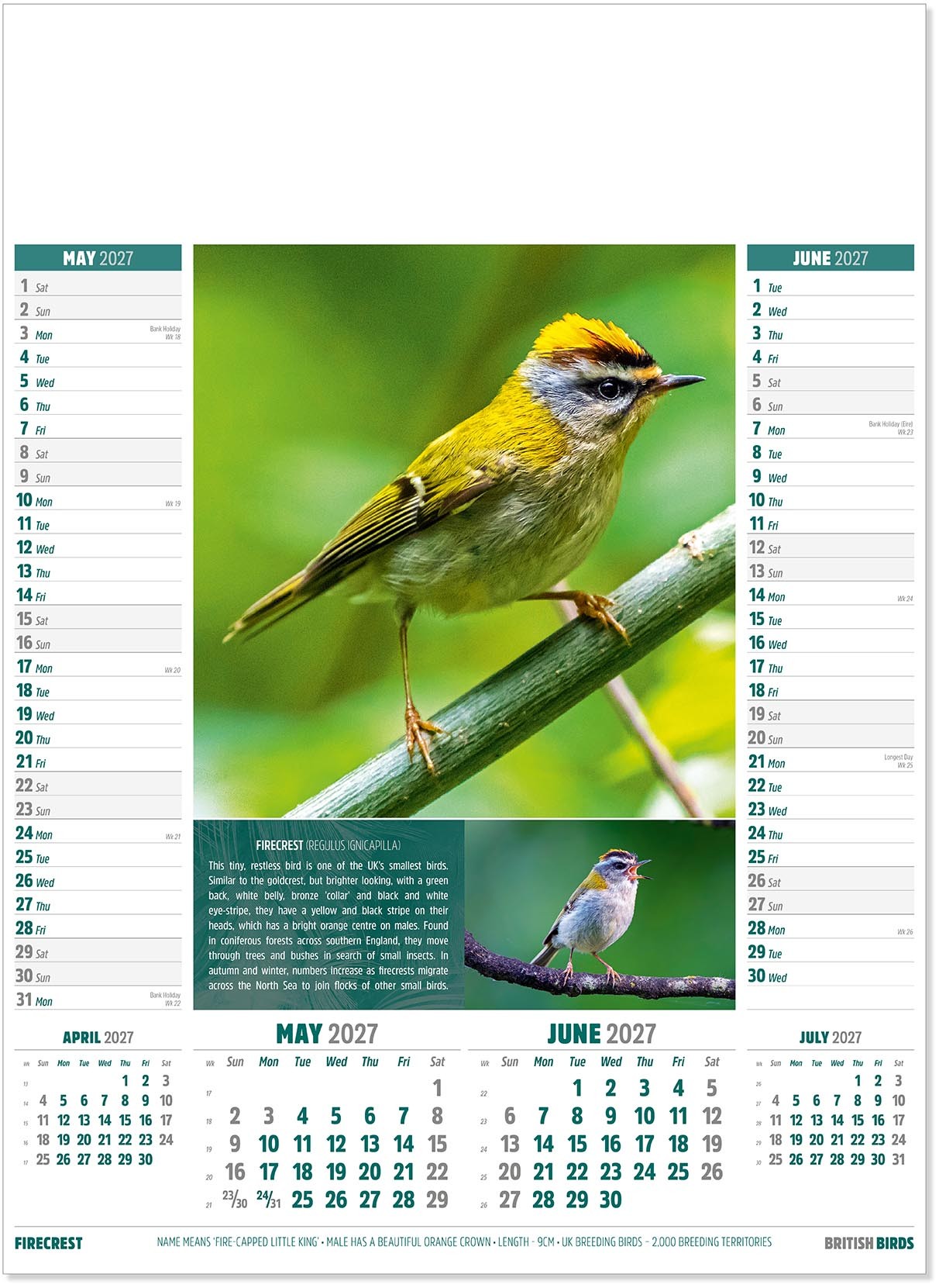 British Birds Calendar
