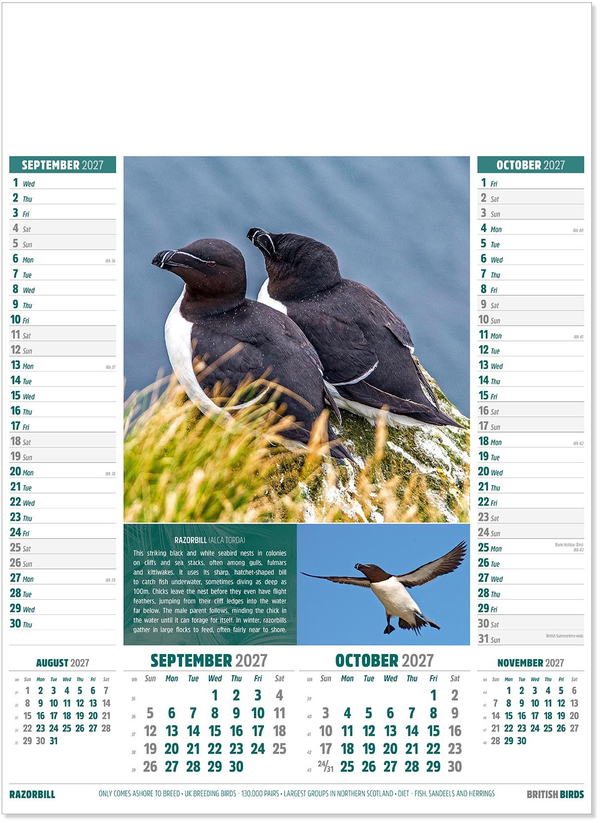 British Birds Calendar