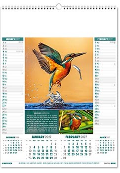British Birds Calendar