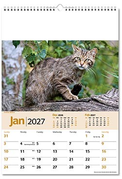 Wildlife Memo Calendar