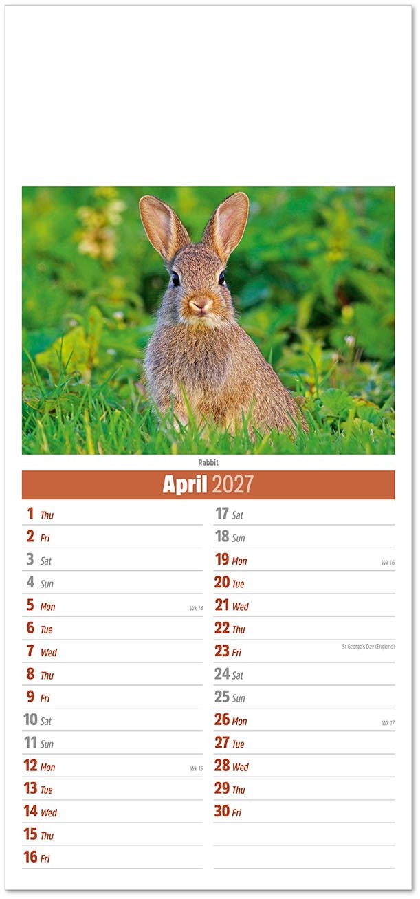 Slimline British Wildlife Compact Calendar
