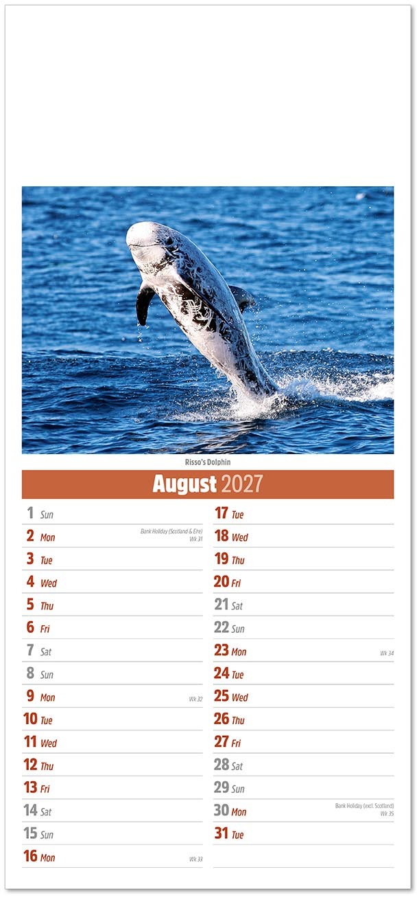 Slimline British Wildlife Compact Calendar