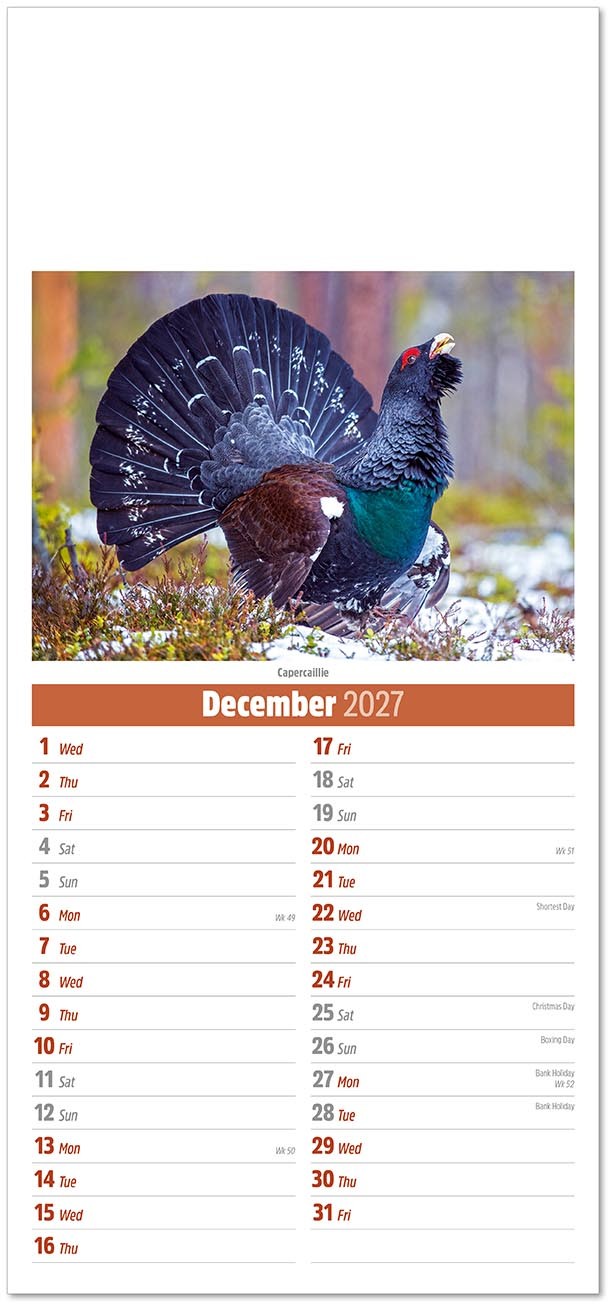 Slimline British Wildlife Compact Calendar