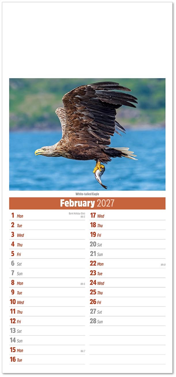 Slimline British Wildlife Compact Calendar