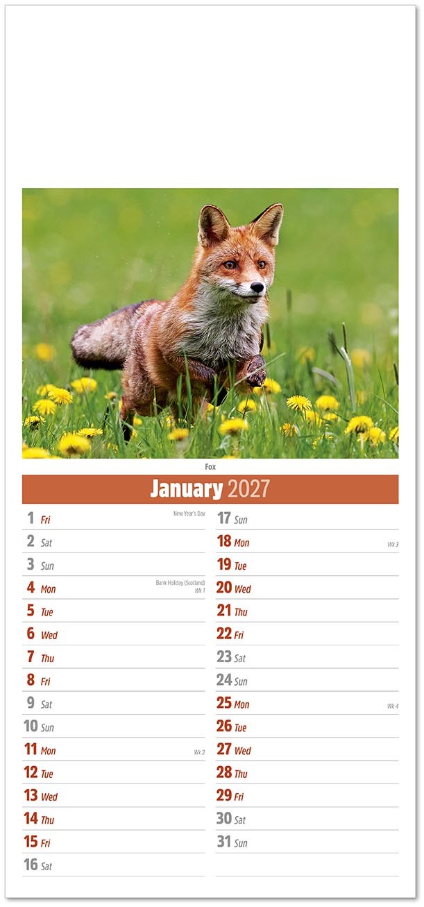 Slimline British Wildlife Compact Calendar