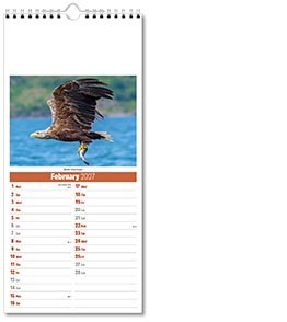 Slimline British Wildlife Compact Calendar