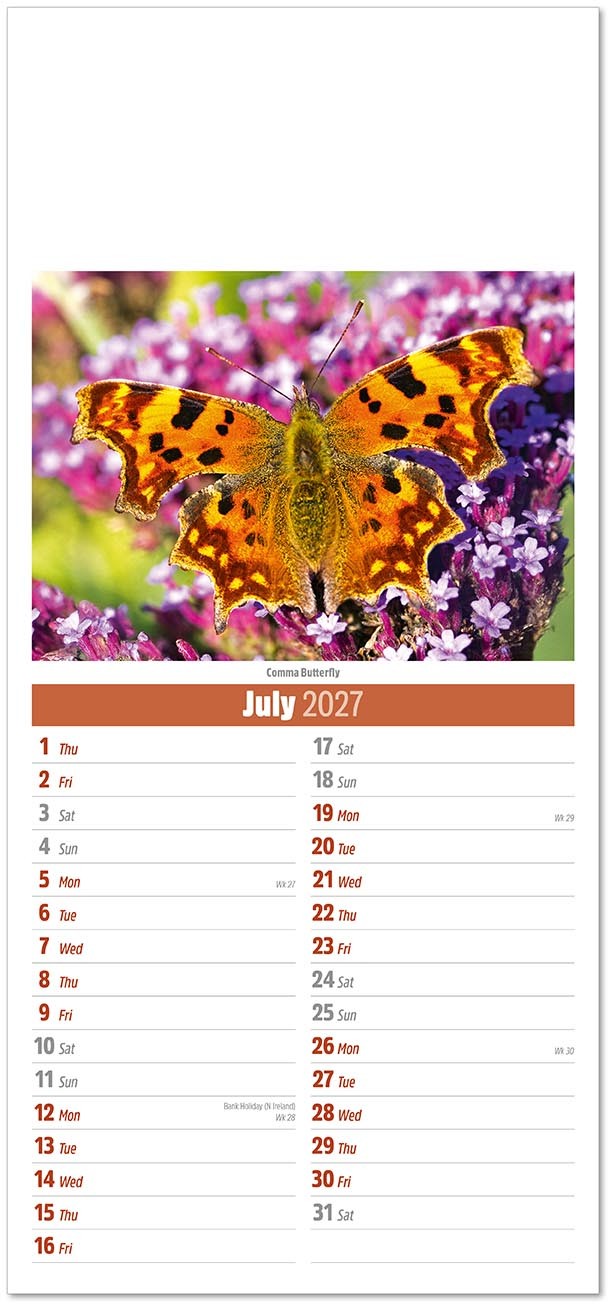 Slimline British Wildlife Compact Calendar