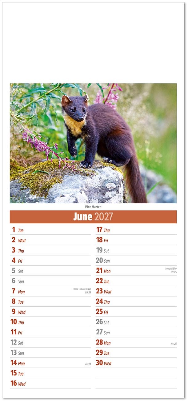 Slimline British Wildlife Compact Calendar