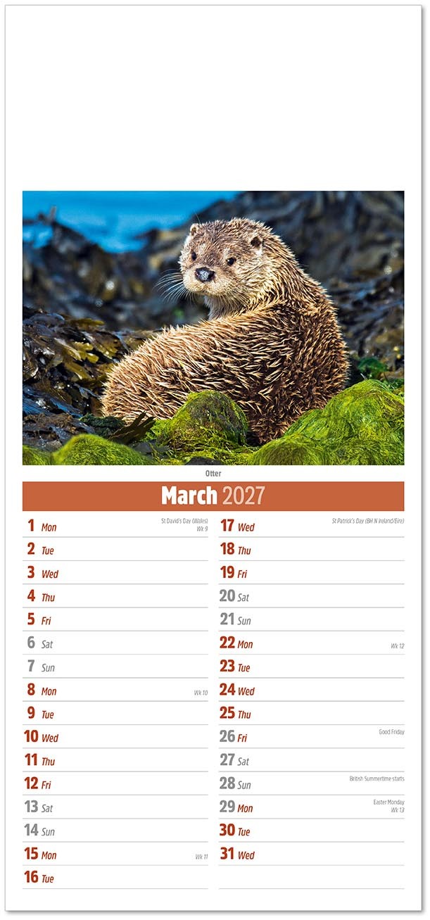 Slimline British Wildlife Compact Calendar