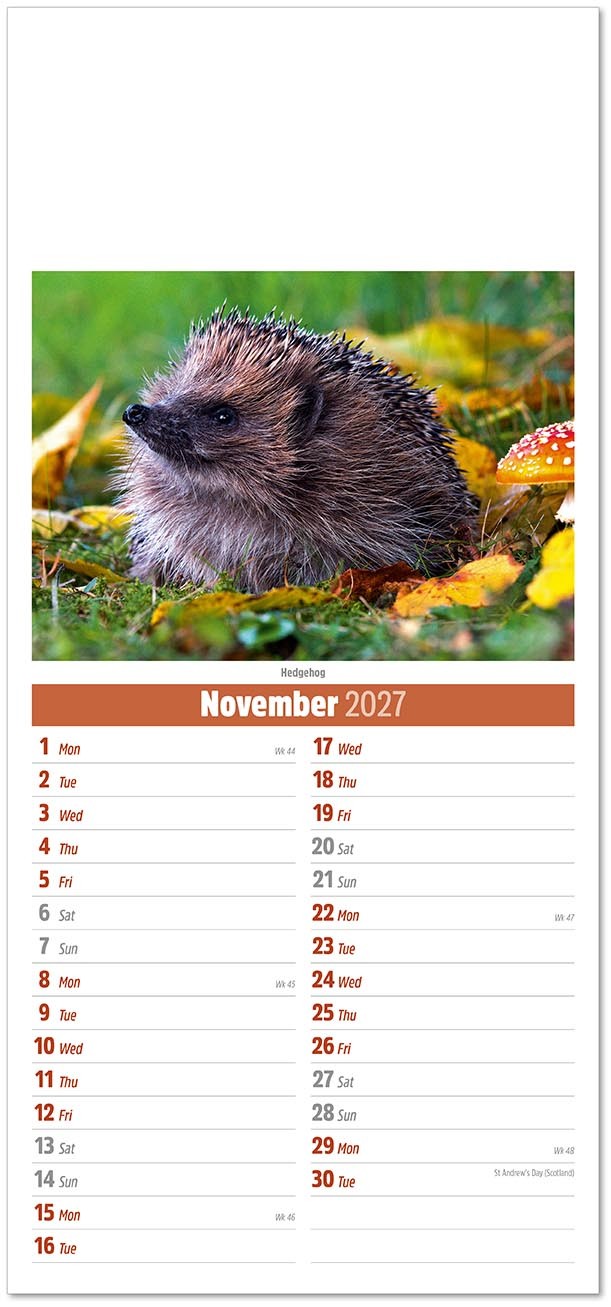 Slimline British Wildlife Compact Calendar