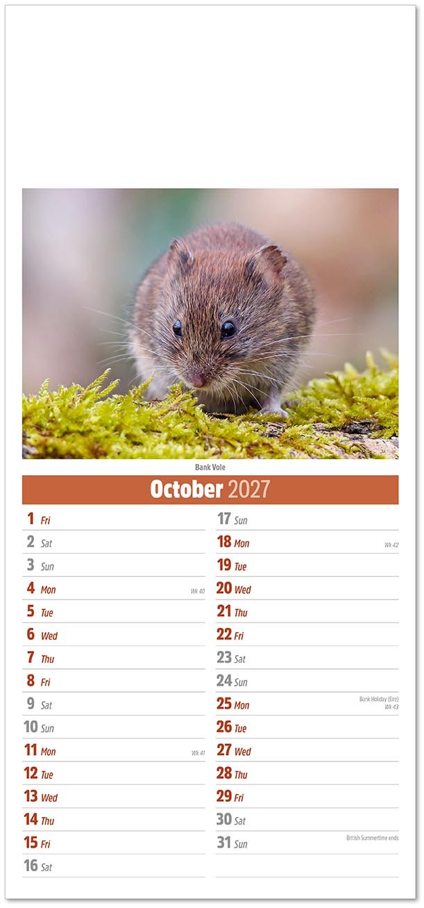 Slimline British Wildlife Compact Calendar