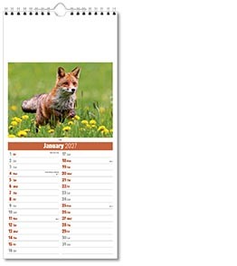Slimline British Wildlife Compact Calendar